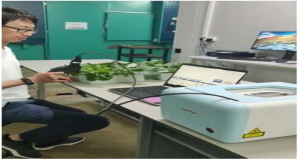 Ph&aacute;t hiện nhanh căng thẳng sinh học c&acirc;y trồng bằng thiết bị di động 