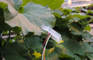 Cảm bi&ecirc;́n lá cho bi&ecirc;́t nhu c&acirc;̀u tưới nước của c&acirc;y tr&ocirc;̀ng