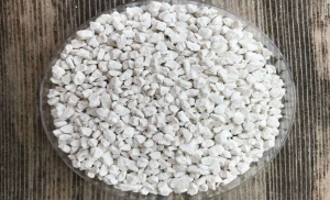 Nghi&ecirc;n cứu strutive - Nguồn phospho tốt cho c&acirc;y trồng