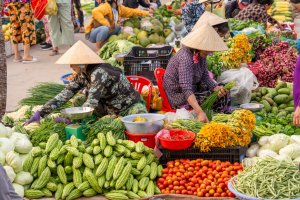 N&ocirc;ng hộ nhỏ trong chuyển dịch an to&agrave;n thực phẩm: G&oacute;c nh&igrave;n từ chuỗi cung cấp rau