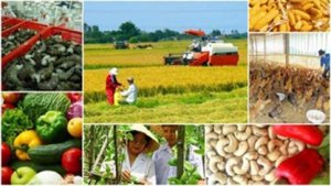 Ng&agrave;nh n&ocirc;ng nghiệp 7 th&aacute;ng đầu năm: Nhiều điểm s&aacute;ng