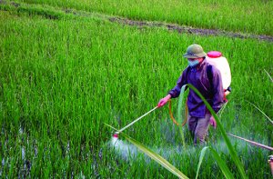 Hợp chất hữu cơ kh&oacute; ph&acirc;n hủy (POPs): Từ nghi&ecirc;n cứu đến ch&iacute;nh s&aacute;ch