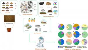 AI dự đo&aacute;n ảnh hưởng của vi nhựa đến t&iacute;nh chất đất
