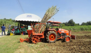Thông tin cập nhật về chính sách mía đường ở thái lan, trung quốc và một số quốc gia khác trên thế giới