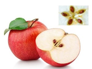 &Ocirc; nhiễm thuốc trừ s&acirc;u kh&ocirc;ng chỉ giới hạn ở vỏ t&aacute;o