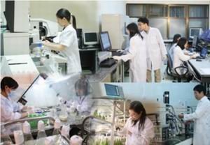Thủ tướng giao 5 nhiệm vụ trọng tâm, cấp thiết cho Viện KH&CN