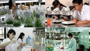 Thí điểm cơ chế đối tác công - tư, đồng tài trợ thực hiện nhiệm vụ KH&CN