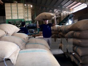 Kim ngạch xuất khẩu n&ocirc;ng l&acirc;m thủy sản đạt hơn 20 tỷ USD trong 8 th&aacute;ng