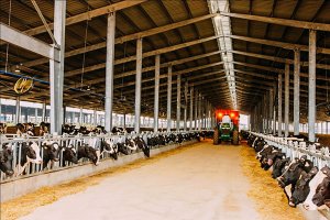 Đẩy mạnh hoạt động khoa học v&agrave; c&ocirc;ng nghệ ng&agrave;nh chăn nu&ocirc;i đến năm 2030