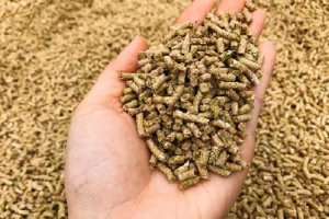 Gi&aacute; thức ăn chăn nu&ocirc;i thế giới trong tuần từ ng&agrave;y 15-23/11/2022