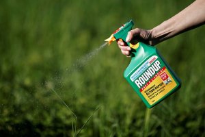 Ảnh hưởng của glyphosate đến chức năng h&ocirc; hấp vi sinh vật đất