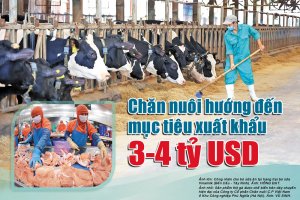 Chăn nu&ocirc;i hướng đến mục ti&ecirc;u xuất khẩu 3-4 tỷ USD