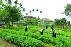 Tiềm năng v&agrave; giải ph&aacute;p ph&aacute;t triển trang trại, hợp t&aacute;c x&atilde; kết hợp du lịch n&ocirc;ng nghiệp, n&ocirc;ng th&ocirc;n