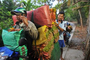 N&ocirc;ng nghiệp đ&uacute;ng hướng `thuận thi&ecirc;n`, n&ocirc;ng d&acirc;n khấm kh&aacute; hơn