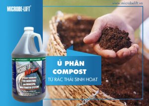 Từ kinh nghiệm quốc tế, xem x&eacute;t c&aacute;c ti&ecirc;u ch&iacute; cần thiết thẩm định, đ&aacute;nh gi&aacute; c&ocirc;ng nghệ ủ ph&acirc;n compost từ r&aacute;c thải hữu cơ ph&ugrave; hợp với thực tiễn Việt Nam 