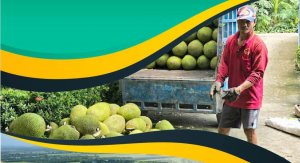 Cần cuộc `c&aacute;ch mạng tư duy` tạo động lực tăng trưởng mới cho n&ocirc;ng nghiệp