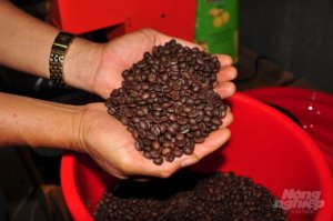 Chuyện g&igrave; đang xảy ra tr&ecirc;n thị trường c&agrave; ph&ecirc;?