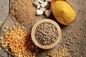 Gi&aacute; ng&ocirc; v&agrave; đậu n&agrave;nh neo cao, n&ocirc;ng d&acirc;n Mỹ tranh thủ gieo trồng từng xới đất