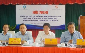 L&uacute;a đ&ocirc;ng xu&acirc;n Nam Trung Bộ v&agrave; T&acirc;y Nguy&ecirc;n được m&ugrave;a chưa từng c&oacute; 