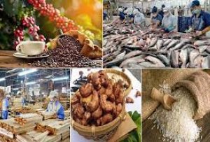 Xuất khẩu n&ocirc;ng l&acirc;m thủy sản trong th&aacute;ng 9 tăng 22% so với c&ugrave;ng kỳ
