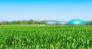 Chuyển đổi CO2 th&agrave;nh thực phẩm dinh dưỡng c&oacute; h&agrave;m lượng protein l&ecirc;n đến 74%