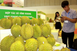 Xuất khẩu rau quả: C&acirc;u chuyện về chiếc `l&ograve; xo` bị n&eacute;n
