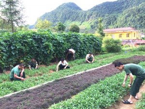 T&igrave;m giải ph&aacute;p ph&aacute;t triển hệ thống kinh doanh thực phẩm an to&agrave;n