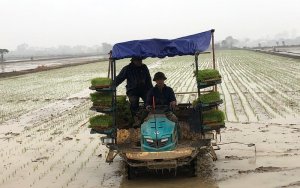 N&acirc;ng cao hiệu quả sản xuất nhờ cơ giới h&oacute;a n&ocirc;ng nghiệp 