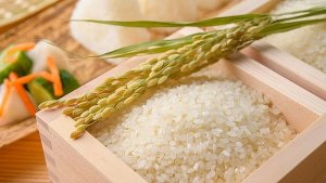 Gi&aacute; l&uacute;a gạo h&ocirc;m nay 31/3: Gi&aacute; l&uacute;a gạo giảm, phụ phẩm tăng
