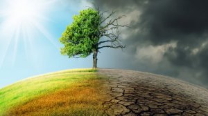 N&ocirc;ng nghiệp t&aacute;i sinh v&agrave; thế đảo ngược biến đổi kh&iacute; hậu? 
