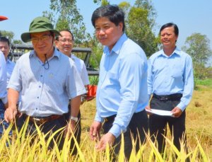 5 năm t&aacute;i cơ cấu ng&agrave;nh N&ocirc;ng nghiệp: Kỳ t&iacute;ch gọi t&ecirc;n c&acirc;y L&uacute;a, quả Chanh