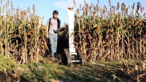 Robot n&ocirc;ng nghi&ecirc;̣p thay người chăm sóc c&acirc;y
