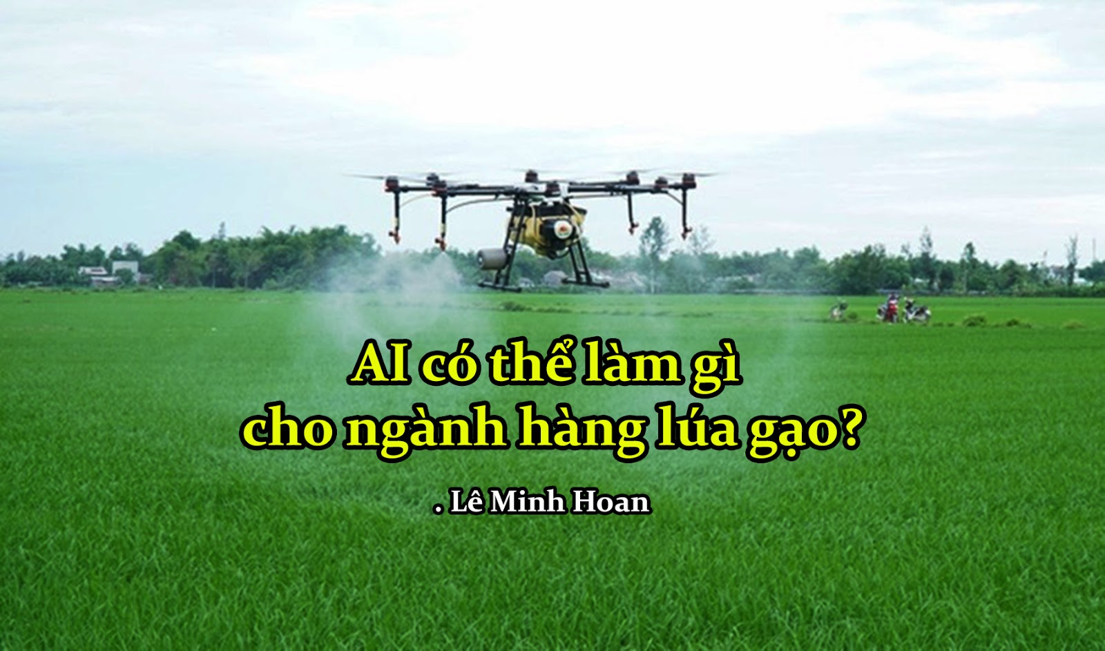 AI c&oacute; thể l&agrave;m g&igrave; cho ng&agrave;nh l&uacute;a gạo?
