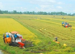 Ph&ecirc; duyệt kế hoạch cơ cấu lại ng&agrave;nh n&ocirc;ng nghiệp giai đoạn 2021-2025