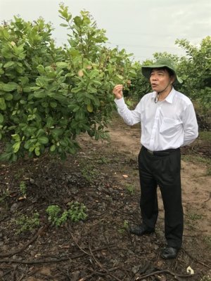 T&aacute;i cơ cấu ng&agrave;nh điều - ho&agrave;n to&agrave;n c&oacute; thể l&agrave;m được