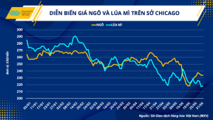 Gi&aacute; nguy&ecirc;n liệu thức ăn chăn nu&ocirc;i: Duy tr&igrave; xu hướng giảm