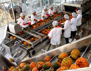 N&ocirc;ng nghiệp vươn l&ecirc;n trong th&aacute;ch thức từ  FTA