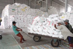 Ng&agrave;nh n&ocirc;ng nghiệp l&agrave;m g&igrave; để c&aacute;n đ&iacute;ch xuất khẩu 40 tỷ USD?
