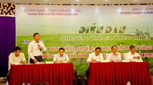 T&igrave;m giải ph&aacute;p cho n&ocirc;ng nghiệp c&ocirc;ng nghệ cao v&ugrave;ng duy&ecirc;n hải Nam Trung Bộ