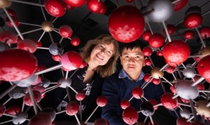 D&ugrave;ng đất s&eacute;t thu giữ carbon dioxide