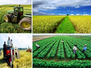 Ban h&agrave;nh Bộ chỉ ti&ecirc;u gi&aacute;m s&aacute;t, đ&aacute;nh gi&aacute; về n&ocirc;ng nghiệp, n&ocirc;ng d&acirc;n v&agrave; n&ocirc;ng th&ocirc;n