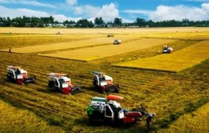 Ph&aacute;t huy vai tr&ograve; của Luật Hợp t&aacute;c x&atilde; năm 2012 trong ph&aacute;t triển kinh tế tập thể