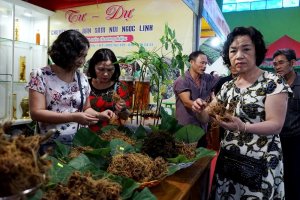 Phương ph&aacute;p định lượng MR2 để ph&acirc;n biệt s&acirc;m Ngọc Linh