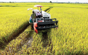 Thị trường m&aacute;y n&ocirc;ng nghiệp: Tiềm năng lớn nhưng nhiều th&aacute;ch thức