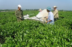 Cư dân nông thôn: Chủ thể của quá trình xây dựng nông thôn mới