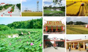 Tổng kết Chương tr&igrave;nh khoa học v&agrave; c&ocirc;ng nghệ phục vụ x&acirc;y dựng n&ocirc;ng th&ocirc;n mới
