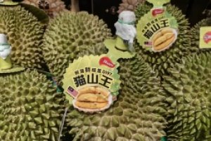 Gi&aacute; sầu ri&ecirc;ng h&ocirc;m nay 20/5: Mức tốt nhất đạt 90.000 đồng/kg