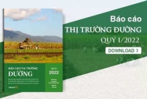 Thị trường đường th&aacute;ng 4/2022: Gi&aacute; đường thế giới tăng cao trong bối cảnh nguồn cung nhiều bất ổn