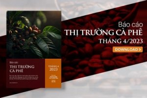 Thị trường c&agrave; ph&ecirc; th&aacute;ng 4/2023: Gi&aacute; c&agrave; ph&ecirc; nội địa thiết lập kỷ lục mới