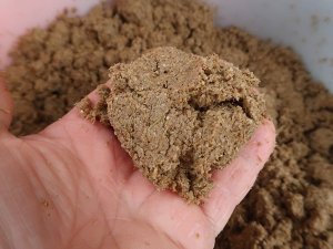 Những lợi &iacute;ch thực tế của b&atilde; bia trong thức ăn cho b&ograve; sữa
